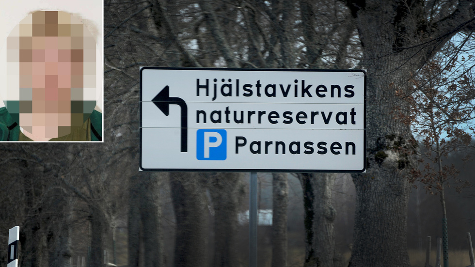 I polisförhör har tonåringarna gett sina, ofta motstridiga, versioner om mordet vid Hjälstaviken.