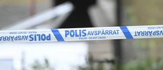 Erkänner mord på man i 70-årsåldern