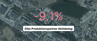 Röda tal för Dibo Produktionspartner Aktiebolag under 2022