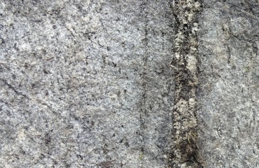 Exempel på mineraliserad gång med sällsynta jordartsmetaller (REE-fosfatmineralen xenotim och monazit ) i Olserum.