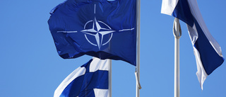 Fler är positiva till Nato