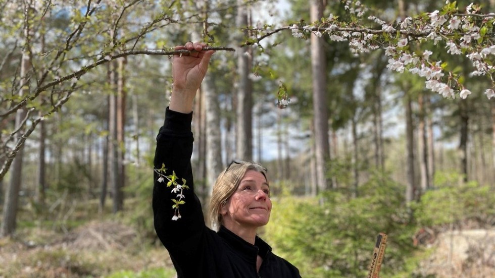 "Man tänker ju nästan dagligen att ´nu måste det väl vara som allra vackrast´", säger odlingspedagogen Malin Sjödén.