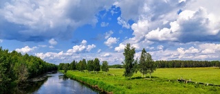 Läsarbilden: Sommar, sommar, sommar