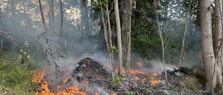 Brand vid landsväg släckt av allmänheten: "Fantastiskt"