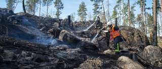 Oro inför värmen – stor risk för skogsbränder