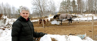 Utökad mottagning av ensilage