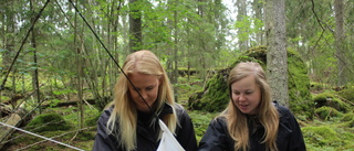 Studenterna har fångat insekter sedan i maj