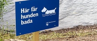 Här får hundarna bada           