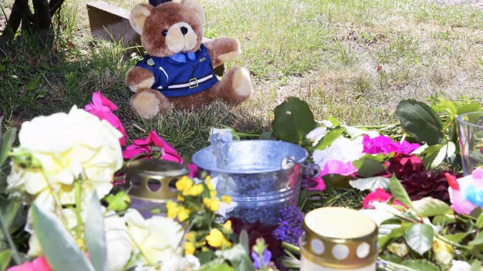 Bilföraren som är misstänkt för att ha kört ihjäl två personer kommer sannolikt begäras häktad i helgen, enligt åklagaren.