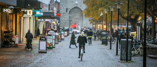 Bofride: "Hur många butiker klarar Visby av?"