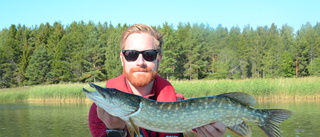 Gäddfiskeresor i skärgården på uppgång  