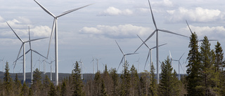 Bromsa klimatkrisen genom förnybar el – snarast