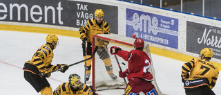 Veckans fokus gav tydliga svar för AIK: ”Spelarna gör det ruggigt bra”