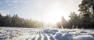 SMHI: En del sol på fredagen  