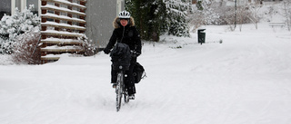 Lite snö stoppar inte den cyklande bibliotekarien