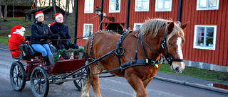 Tomtar med häst och vagn satte guldkant i juletid