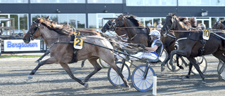 Ny stor V75-triumf för Umåkeramatör