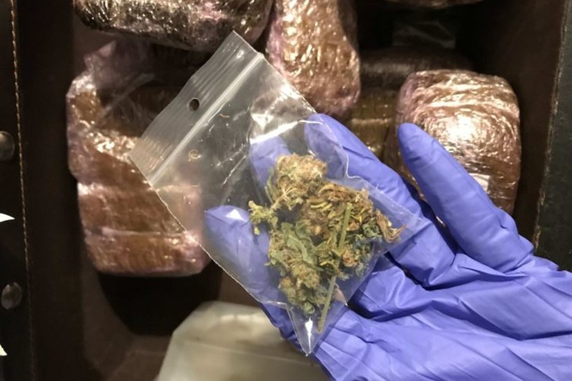 Polisen hittade ett större parti cannabis i lägenheten. Nu åtalas en man för grovt narkotikabrott. 