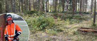 Nu försvinner delar av skogen i Laggarhult: "Vi har hur mycket som helst på gång"