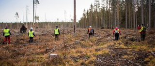 Försvunna kvinnan hittad