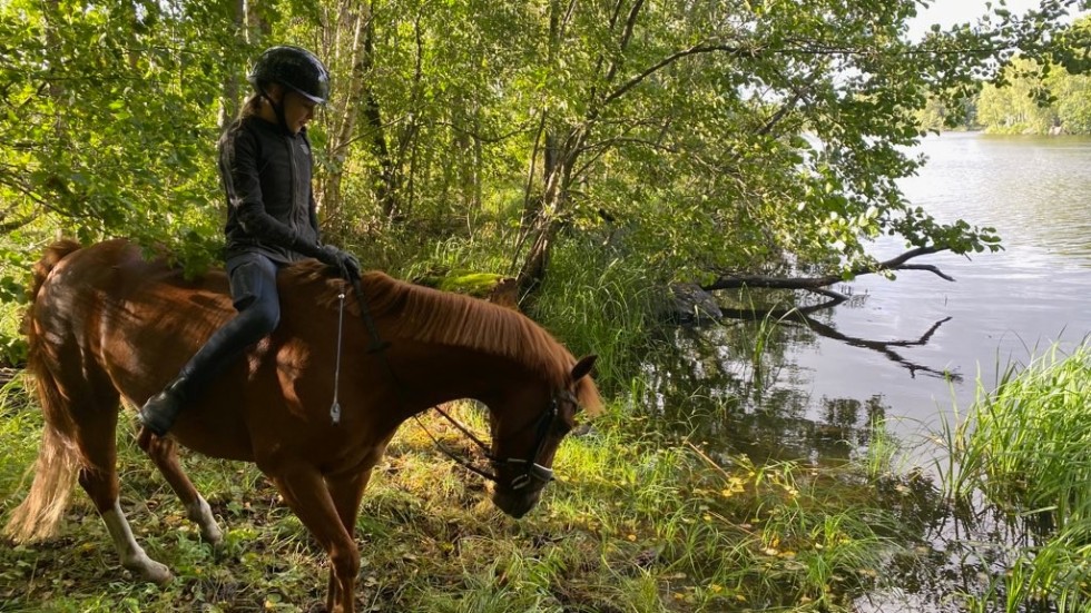 13-åriga Sonja Freij på hästen Ossy på väg ner mot vattnet.