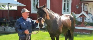 Fin skalp för Ulfaks