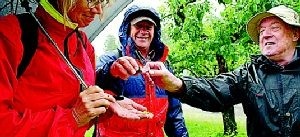 Trotsade regnet för vilda blommor