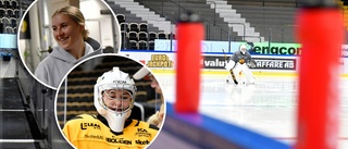 Efter jakten – AIK:s nya målvakt är på plats: ”Verkar vara den bästa hockeystaden någonsin”