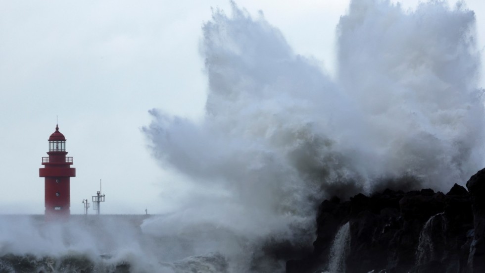 Tyfonsäsong råder i västra Stilla havet, och Japan utfärdar högsta varning för kommande stormen Nanmadol. Sydkorea har tidigare drabbats av tyfonen Hinnamnor. Arkivbild.