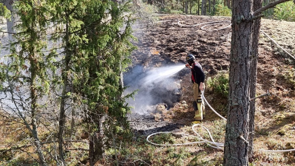 Räddningstjänsten började omgående vattenbegjuta området. 