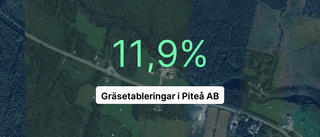 Intäkterna fortsätter växa för Gräsetableringar i Piteå AB