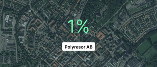 Här är siffrorna som visar hur det gick för Polyresor AB senaste året