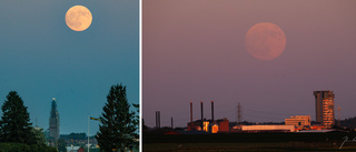 Johans lycka: Fångade spektakulära månen på bild: "Wow! 