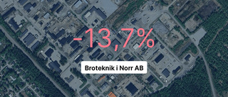 Så gick det för Broteknik i Norr AB under 2023