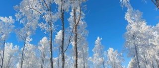 Kyligt men vackert i Haparanda                 