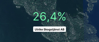 Utrike Skogstjänst AB: Nu är redovisningen klar - så ser siffrorna ut