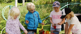 Halvtid för barn- och utbildningsnämnden