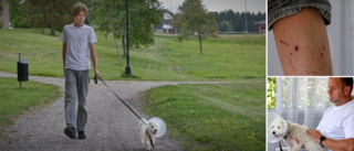 Samma hund till attack igen – Zion, 13, och hunden Harry bitna