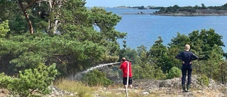 Teorin efter branden: Grillplats som inte släckts ordentligt