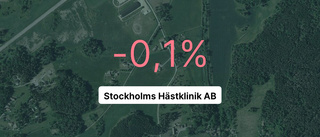 Så gick det för Stockholms Hästklinik AB senaste året