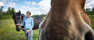 Molly, 14, fick inget sommarjobb – tog saken i egna händer