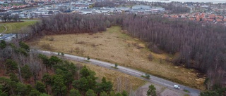 Hur kunde Motala kommun förlora mot Lalandia?