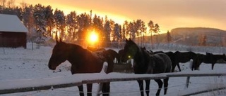 Dagens väderbild