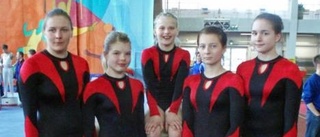 Dubbla gymnastiksilver