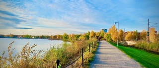 Läsarbilden: Vacker strandpromenad