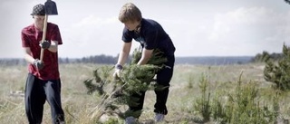 Lotten avgör om du får sommarjobb