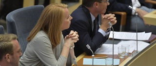 Hovsam partiledardebatt