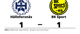 Äntligen poäng för Hälleforsnäs mot BK Sport