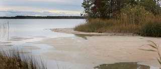 Vattnet i träsket hotas om Cementa utökar brytningen