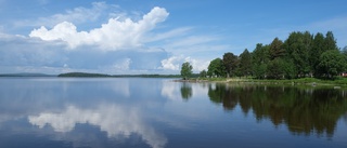 Läsarbilden: En sån utsikt över hamnen